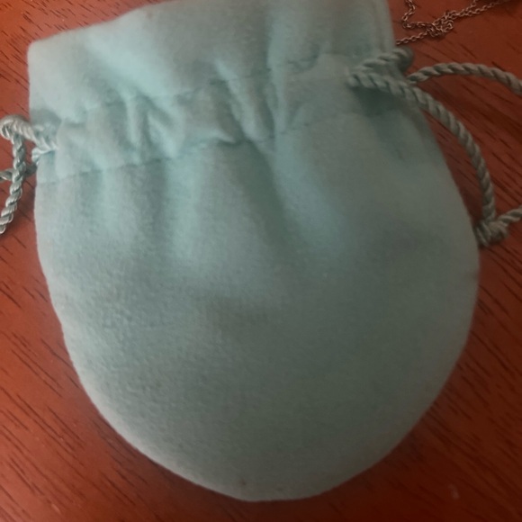 Tiffany & Co. Silvery Necklace by Elsa Peretti - Picture 7 of 9